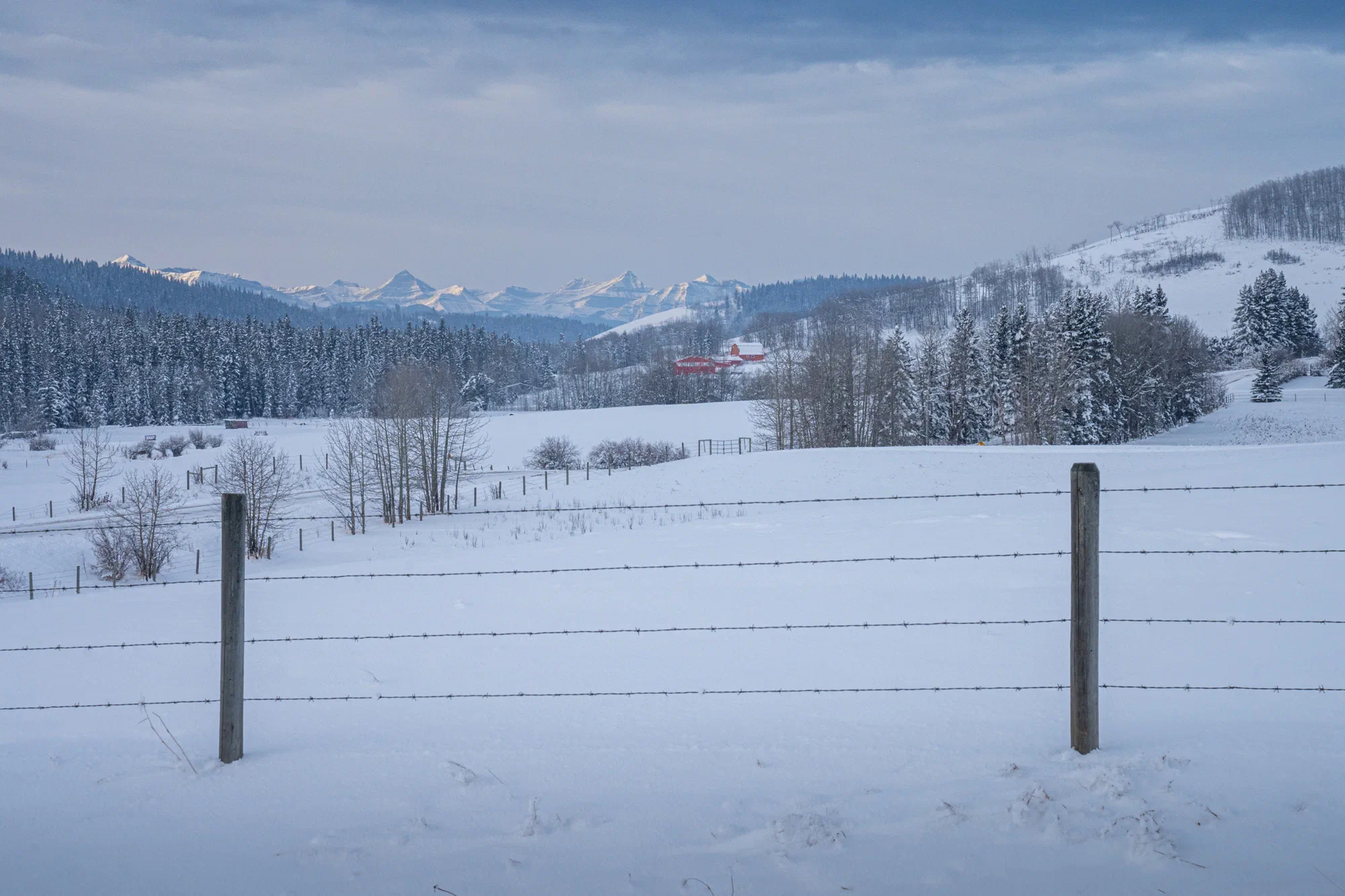 Red house on the Foothills