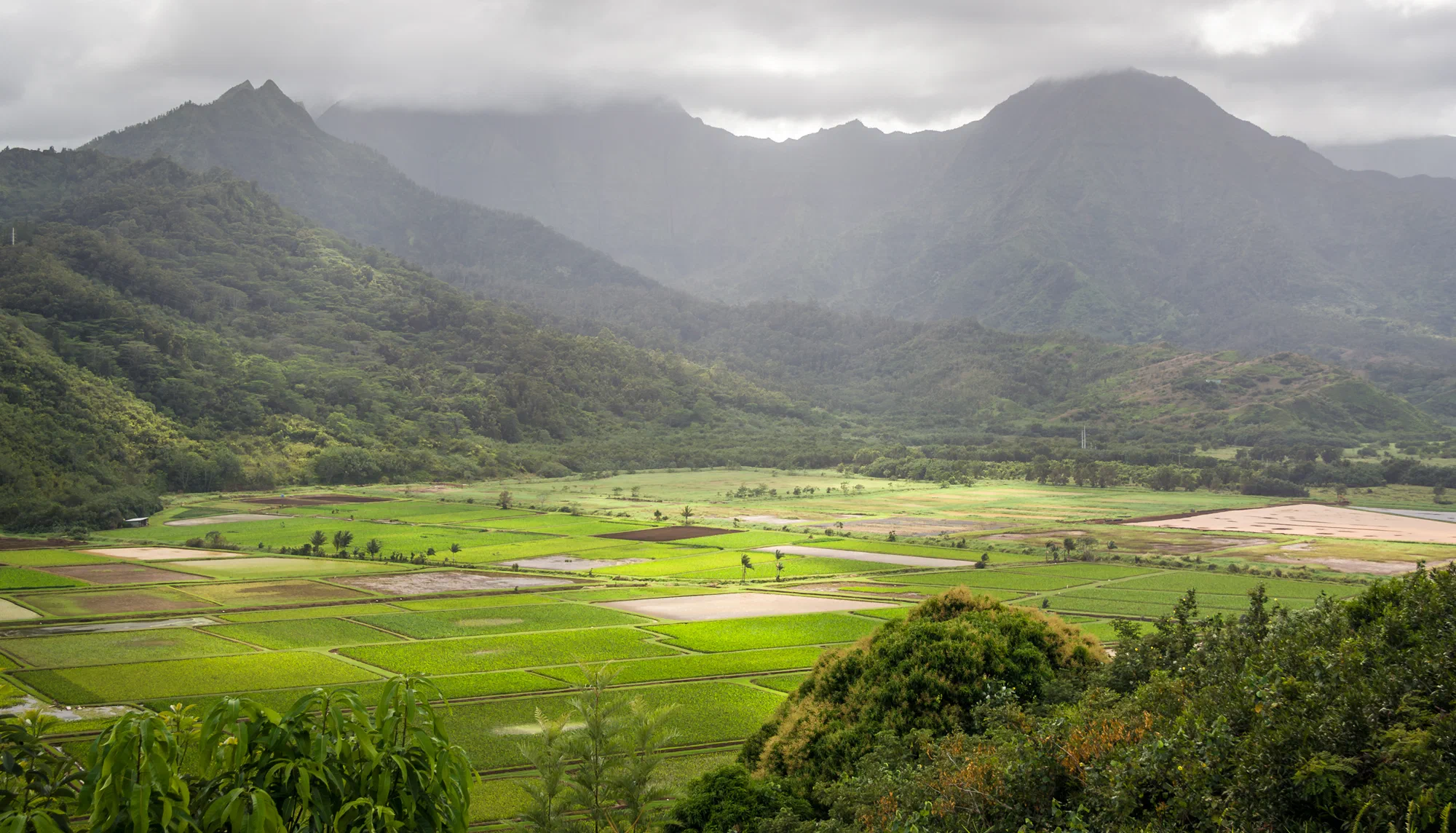 Hanalei Valley