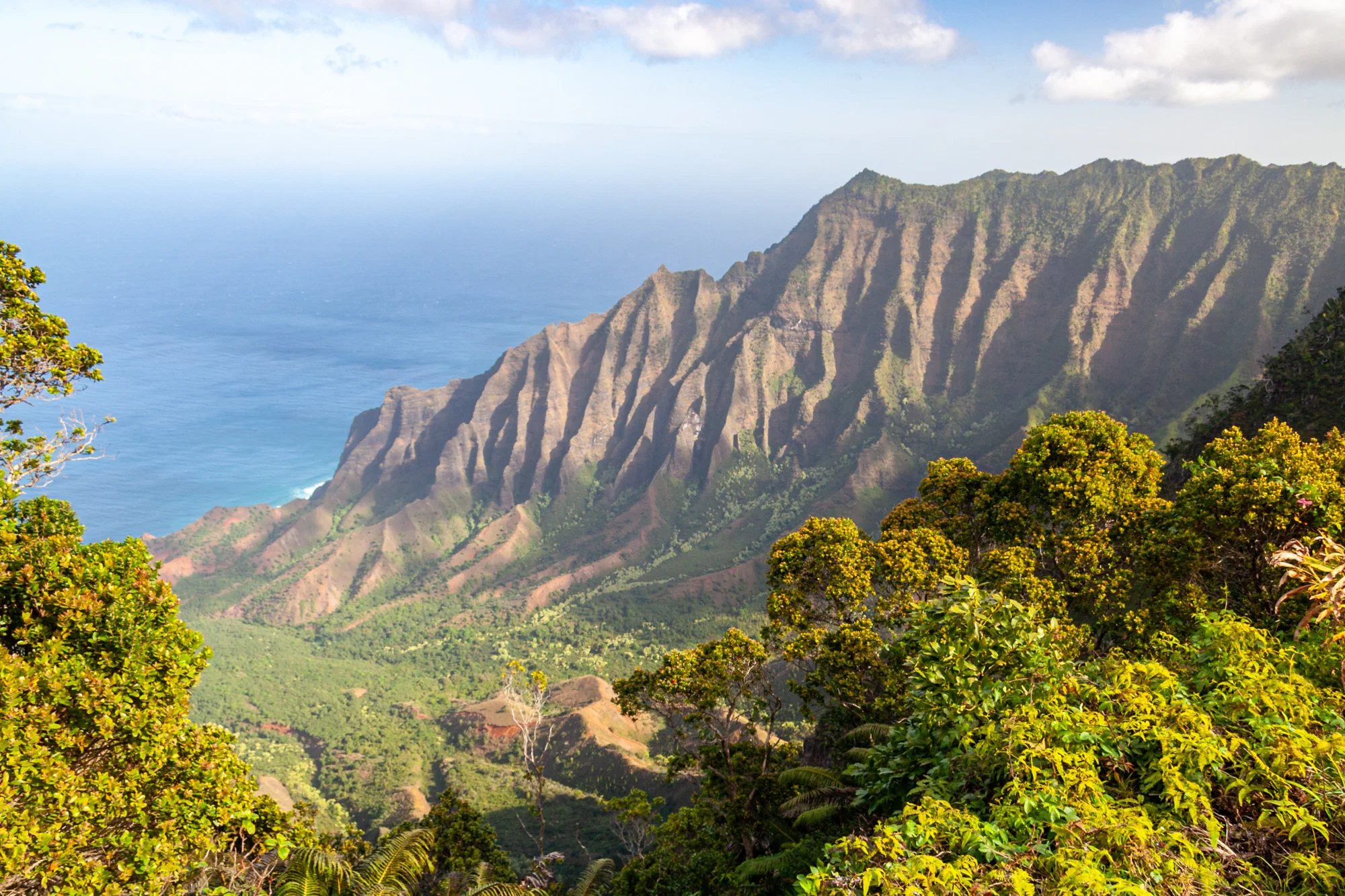 Kalalau Lookout