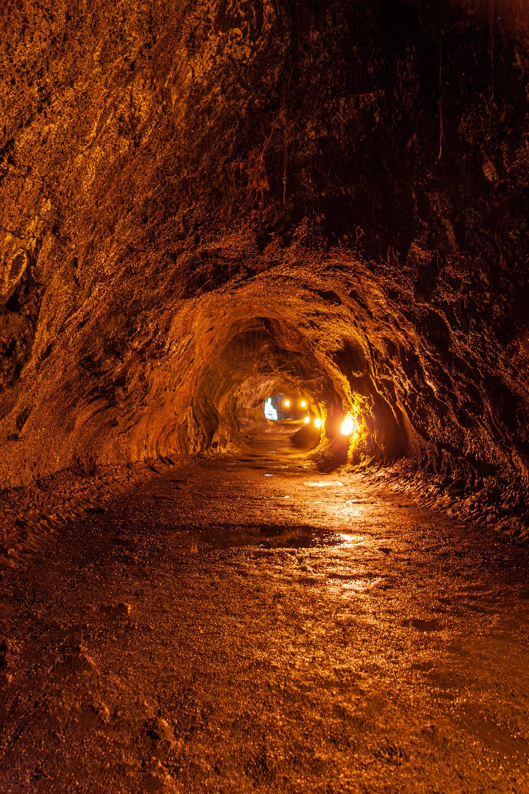 Thurston Lava Tube