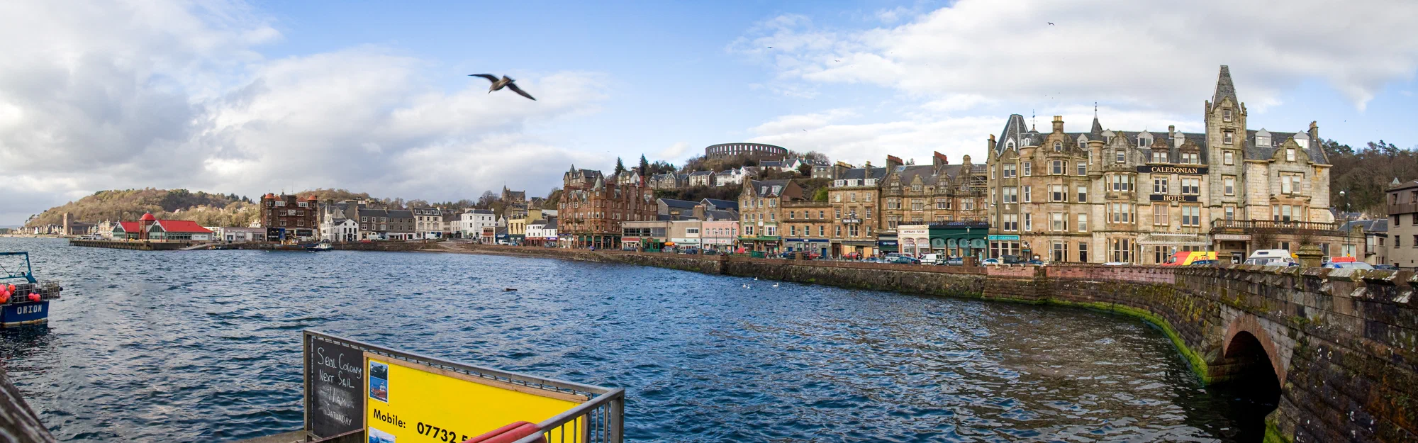 Oban Harbour Panorama