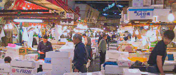Activity in Tsukiji Market