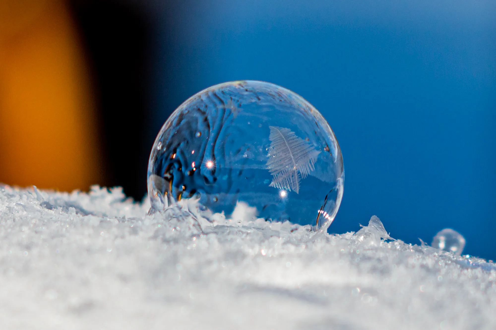 Freezing Bubble