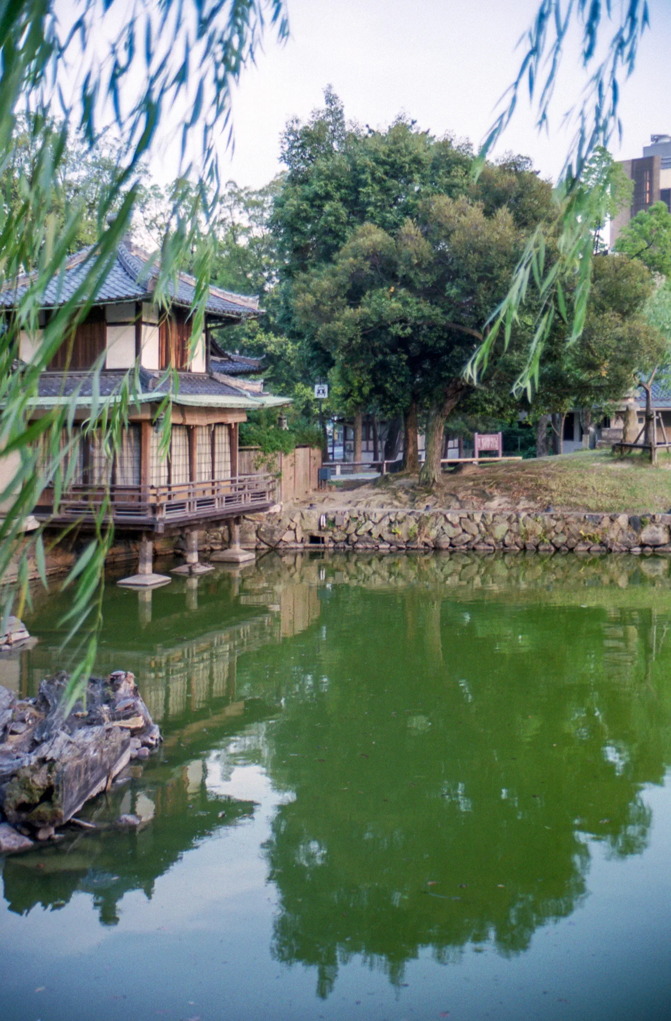 Sarusawa-ike Pond