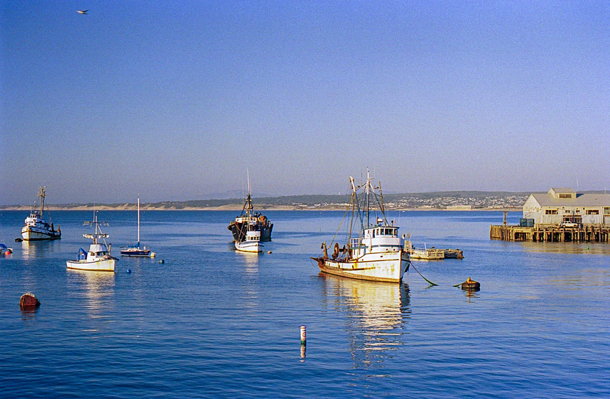 Fishing Boats in Monterey