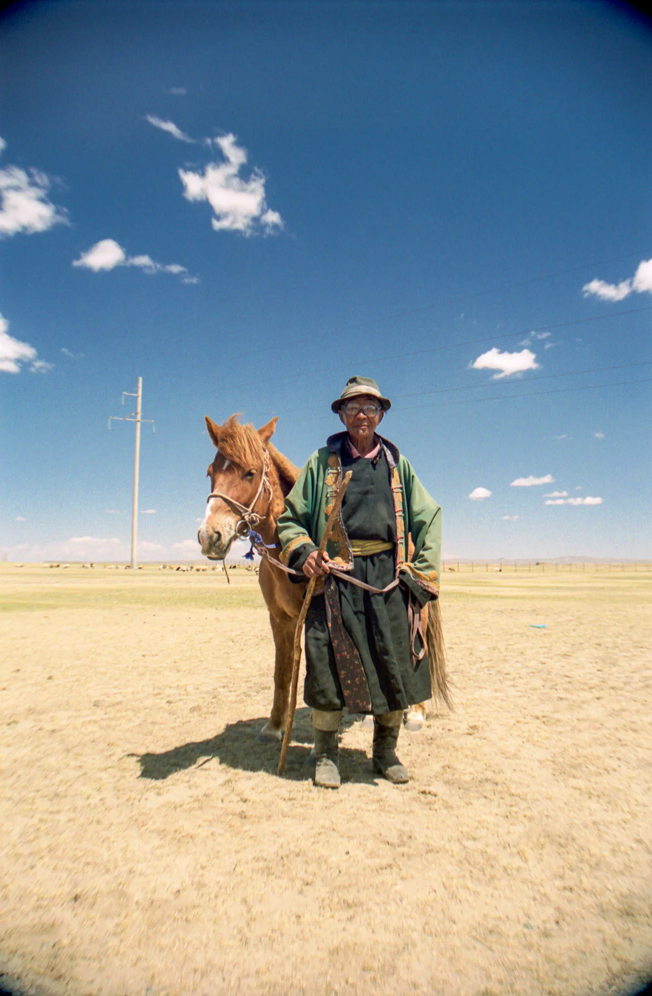 Mongolian Herdsman