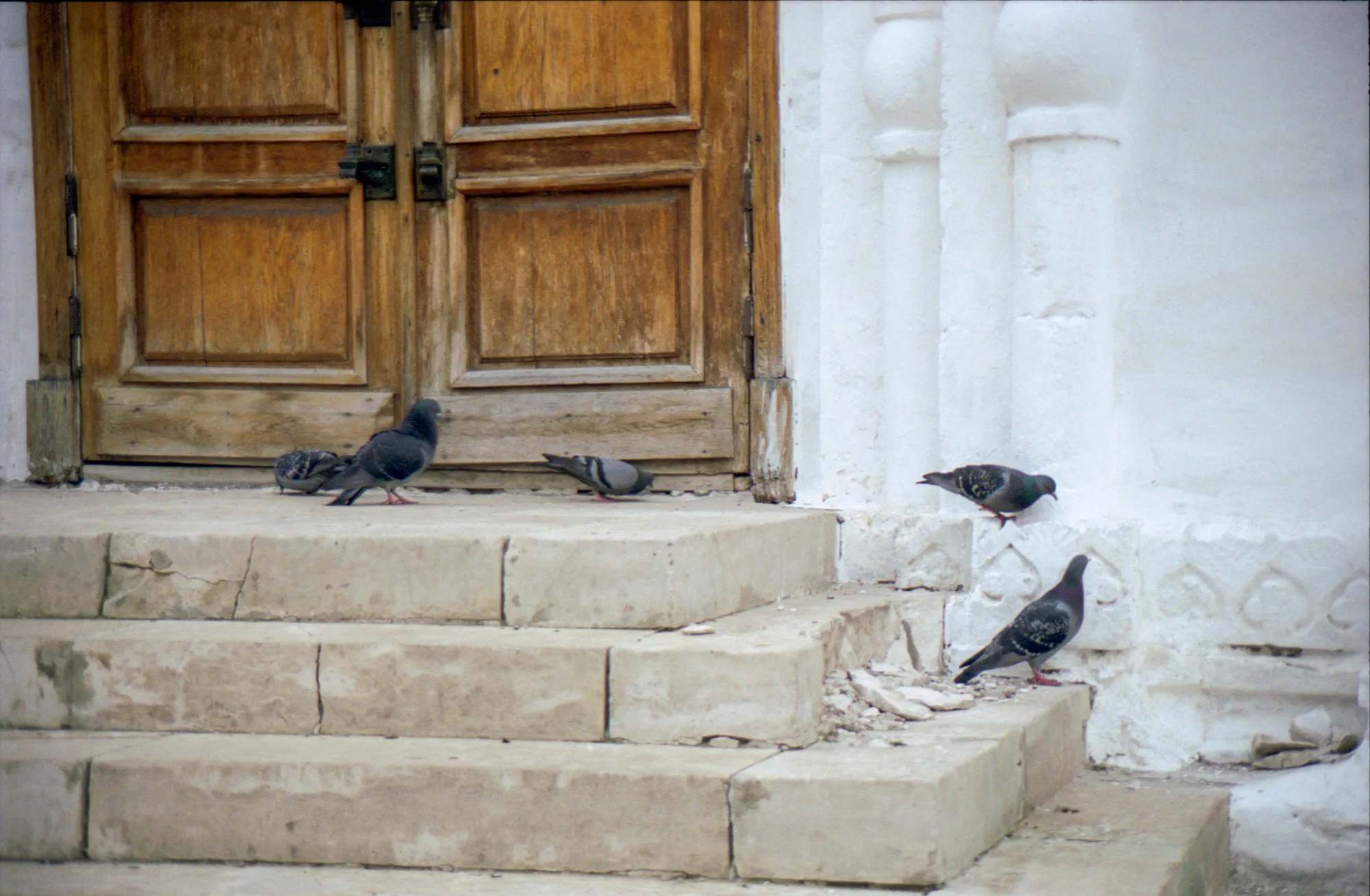 Pigeons on the Steps of Dormition Cathedral