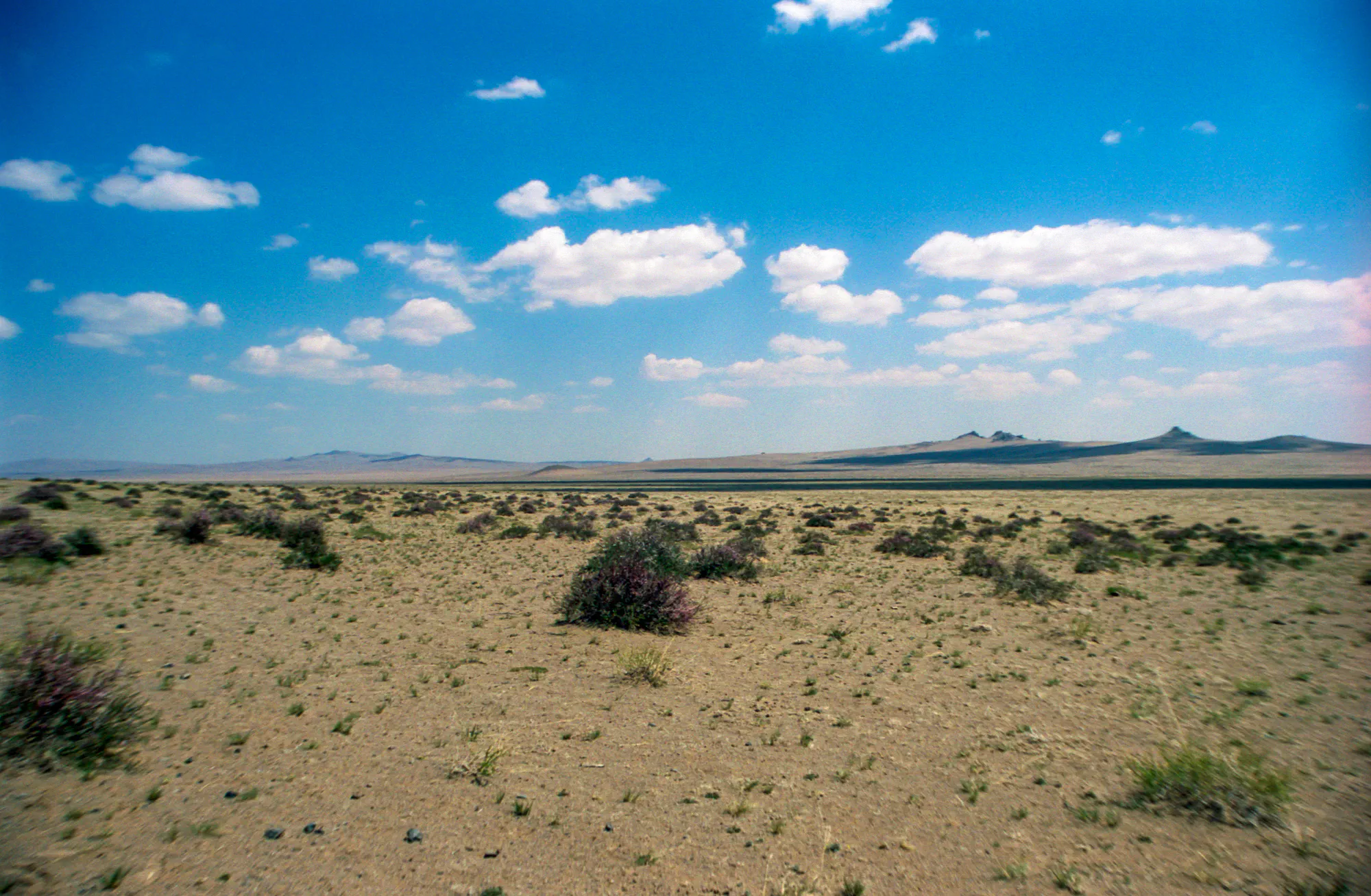 Mongolian Steppe Plains