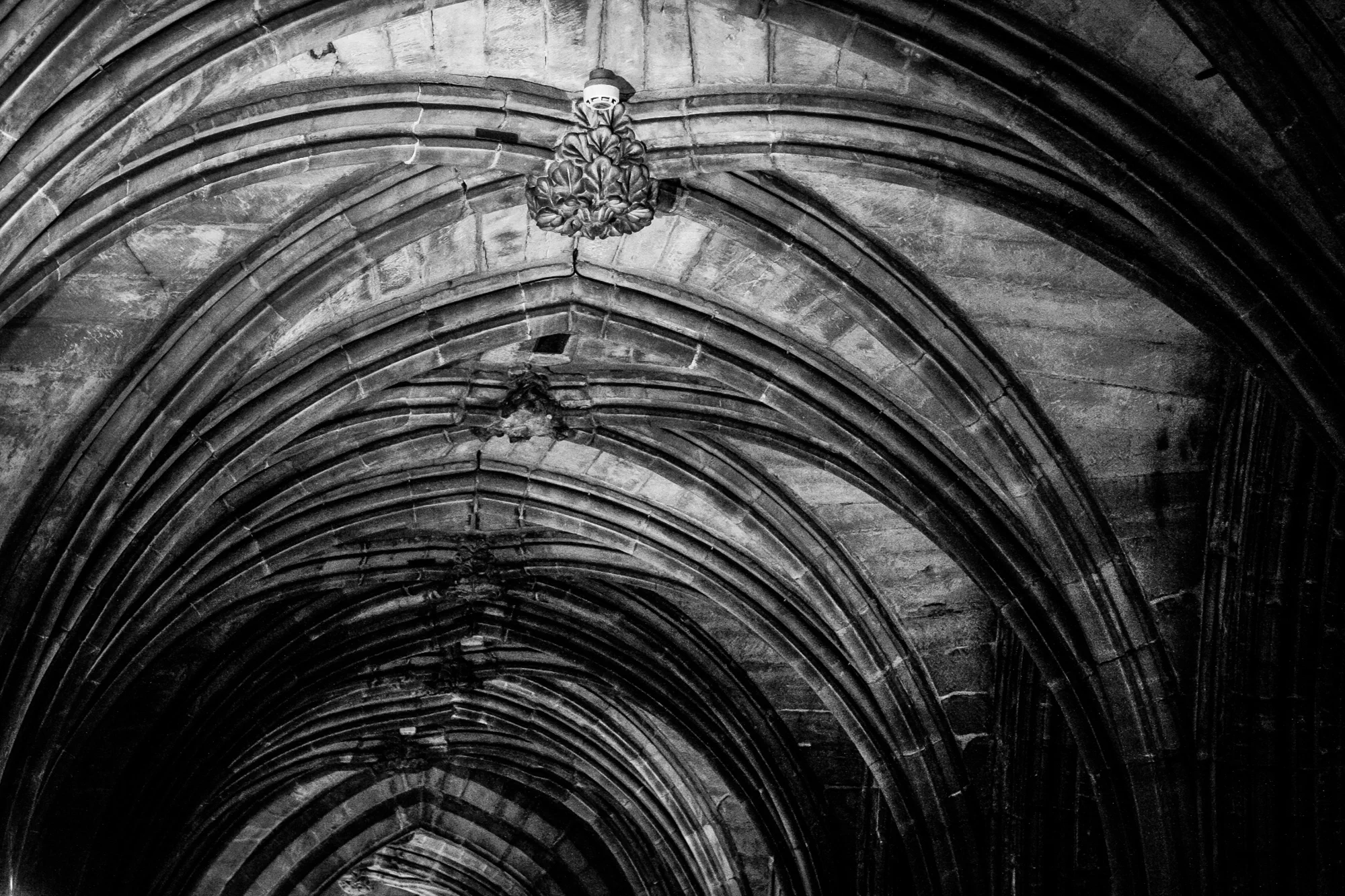 Glasgow Cathedral Undercroft Ceiling